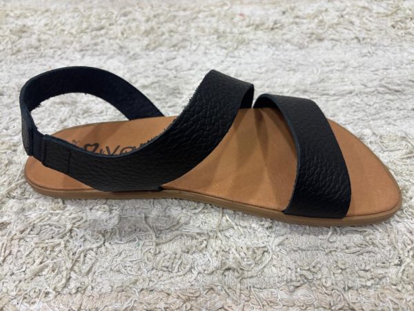 Sandalia Barefoot Adulto